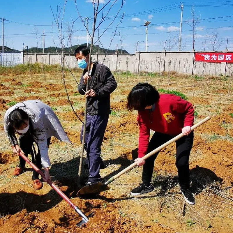 3月12日植樹節(jié)：讓綠色理念生根發(fā)芽！